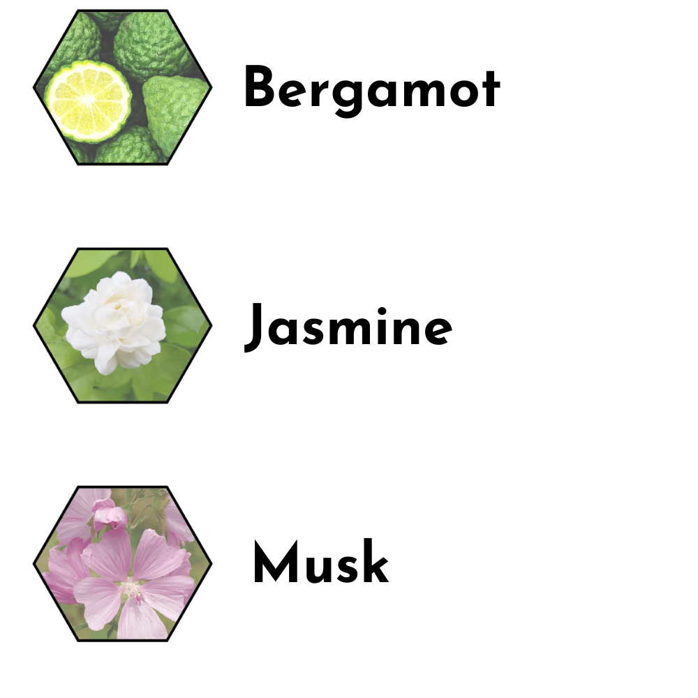Blissful Harmony Inspired by: Sheraton® Fragrance Oil. Top Note = Bergamot, Middle Note = Jasmine, Base Note = Musk
